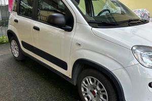 Fiat Panda 1.0 S&S Hybrid Van 4 posti