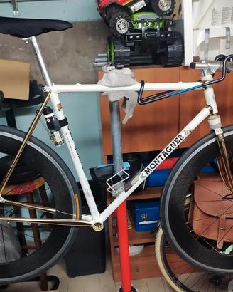 montagner cinelli oro