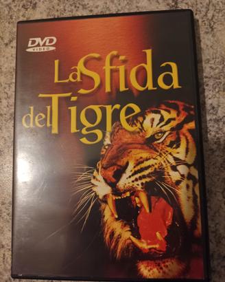 DVD La sfida del Tigre