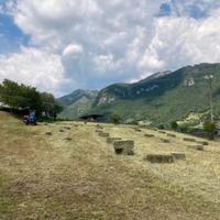 Ballette Fieno
