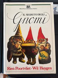 Il segreto degli gnomi