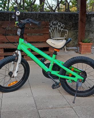 Bicicletta 16 pollici 