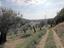 Immagine 11