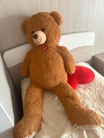 Orso Gigante Decar