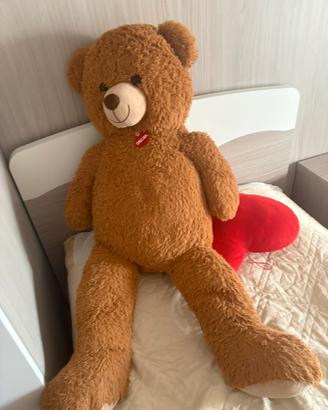 Orso Gigante Decar