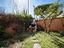 Immagine 11