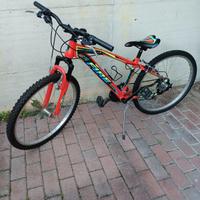 bicicletta per ragazzi 11-14 anni