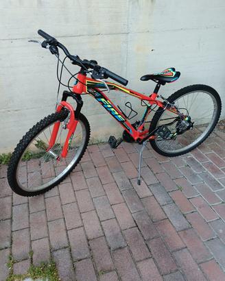 bicicletta da ragazzo 