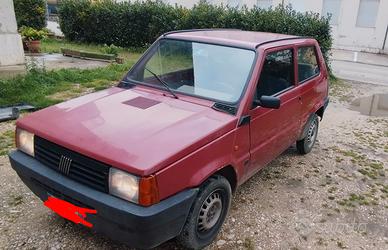 Fiat panda 