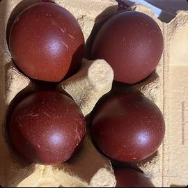 Marans