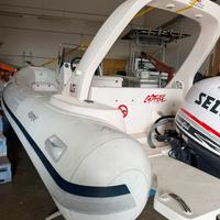 Gommone predator 599