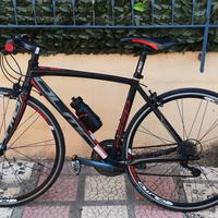 Bici olmo