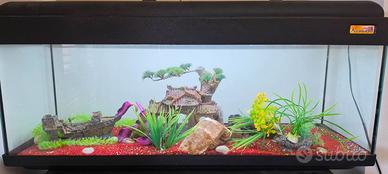 Acquario 120 lt