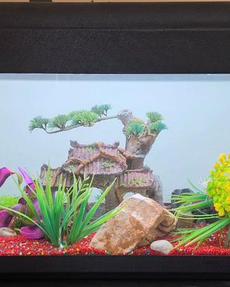 Acquario 120 lt