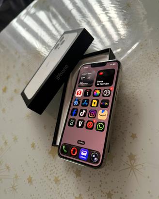✨⭐️IPHONE 13 Pro 256gb PERFETTO COME NUOVO ⭐️✨
