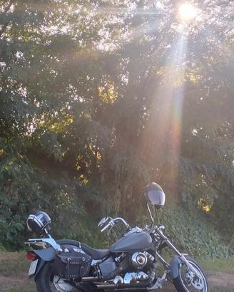  moto dragstar 650