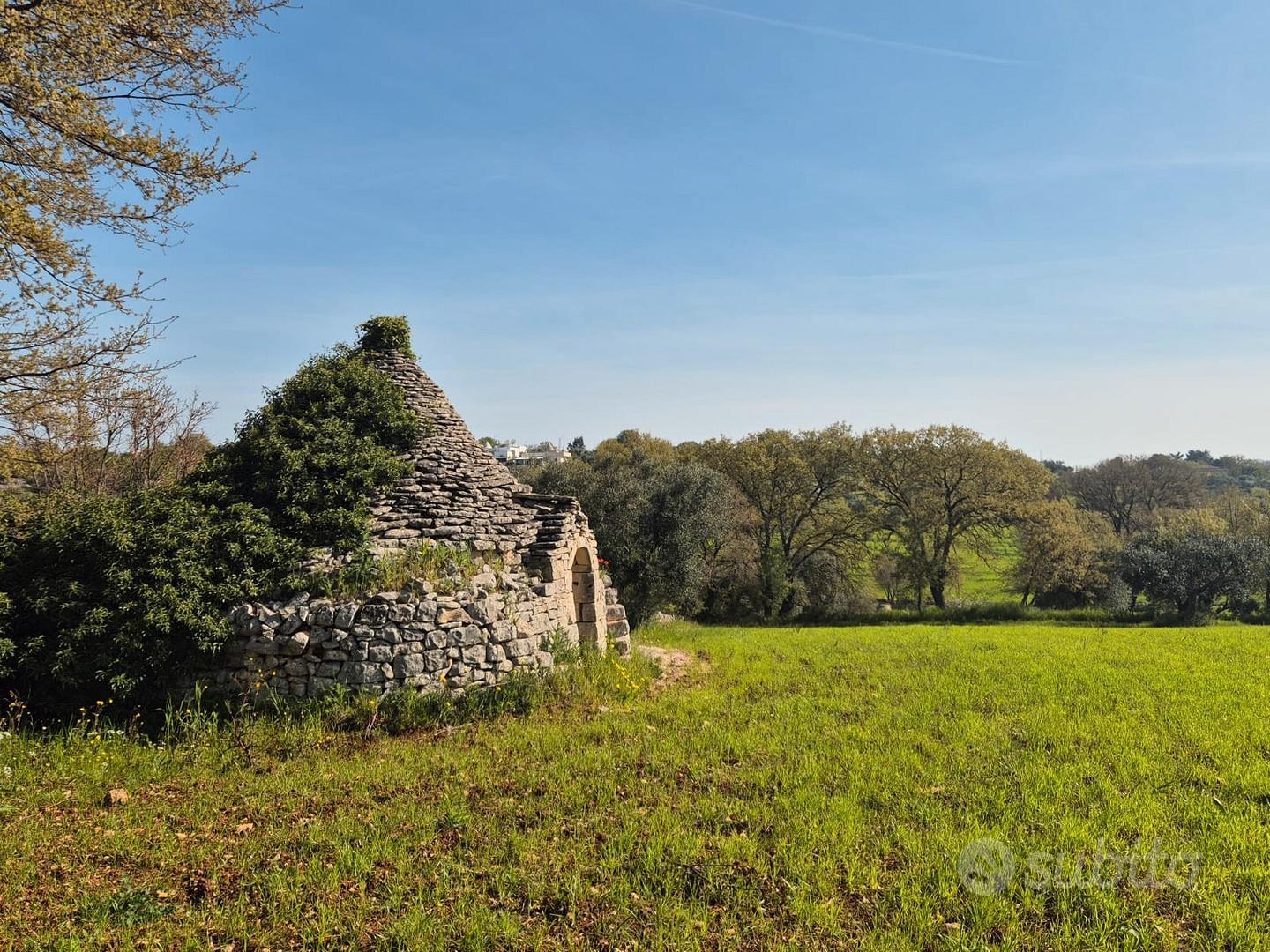 Trullo da ristrutturare con terreno di 7.880 mq - Vista 2