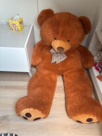 Orso gigante