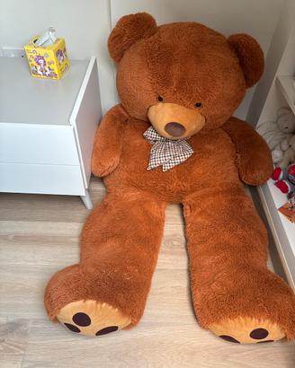 Orso gigante