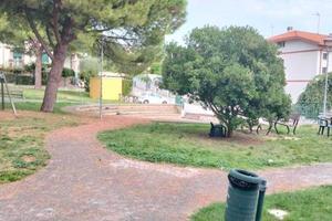 Attività / Licenza di 130 m² a Misano Adriatico