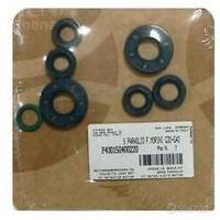 Serie kit paraolio motore malaguti fifty top G30