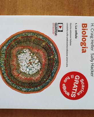 Set 3 Volumi Biologia Zanichelli Sadava 5 Edizione