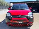 fiat-panda-cross-1-0-s-s-hybrid-2022