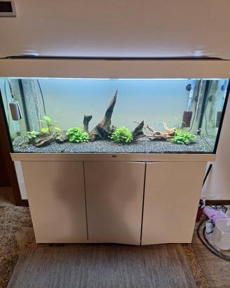 acquario juwel rio 240