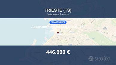 Immobile in asta di 250 m² con più di 5 locali a T