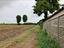 Immagine 5