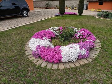 GIARDINO E AIUOLE DI ABBELLIMENTO