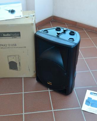 Cassa e microfono