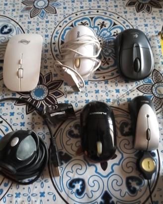 5 Mouse + 1 Webcam, leggi bene