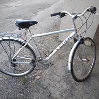 bici Vicini '28