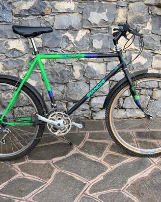 Mountain bike Bianchi