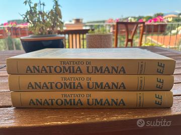 Libri Anatomia Umana EDISES IV Edizione