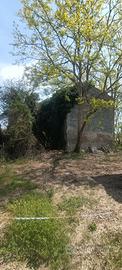 Rustico più terreno agricolo