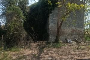 Rustico più terreno agricolo