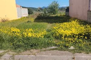 Terreno a Pula per due villette a schiera