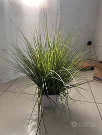 Pianta artificiale