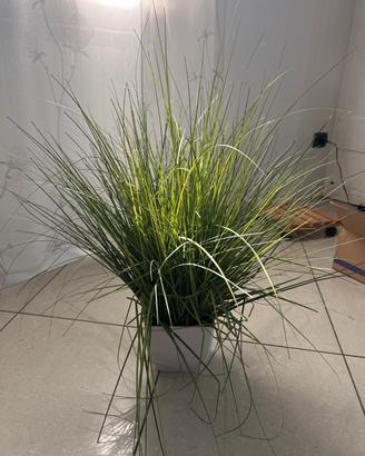 Pianta artificiale