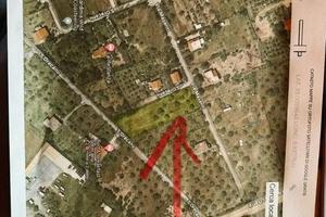 Terreno zona s'orecanu pula