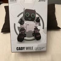 Robot Cady Wile