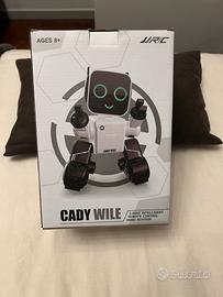 Robot Cady Wile
