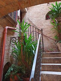 Casa Indipendente San Severo [Cod. rif 3215062VRG]