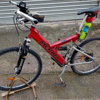 Mountain bike e bici bambina