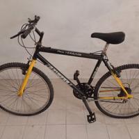 Bici Mountain bike