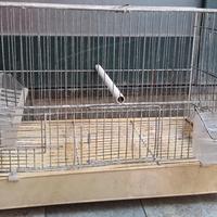 gabbia per uccelli