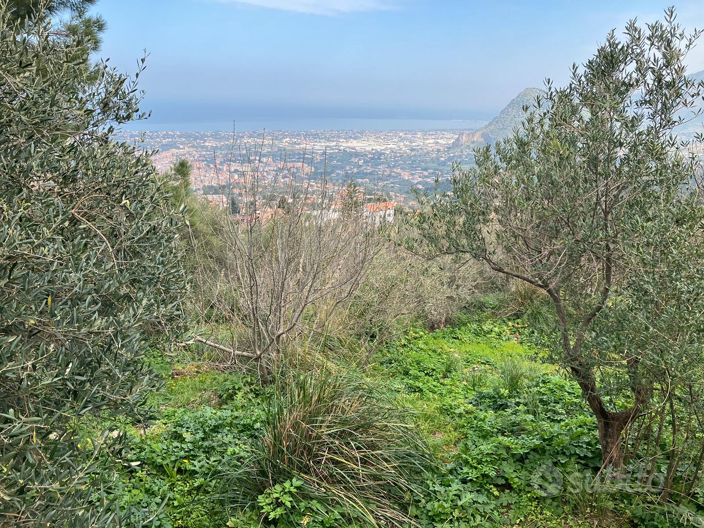 Terreno collinare - Vista 2