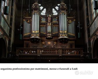 Organista